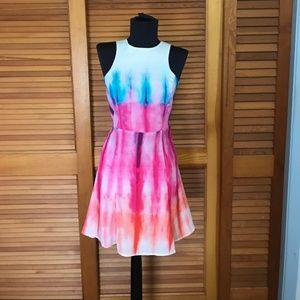 Sparkle & Fade Dress with back slit